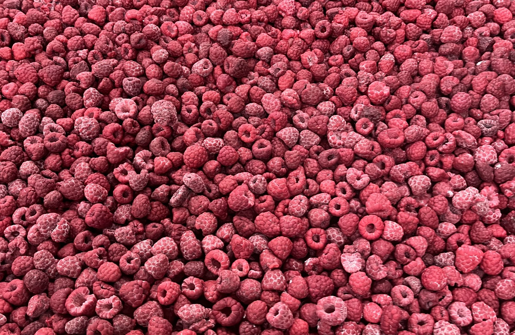 Frozen red raspberries