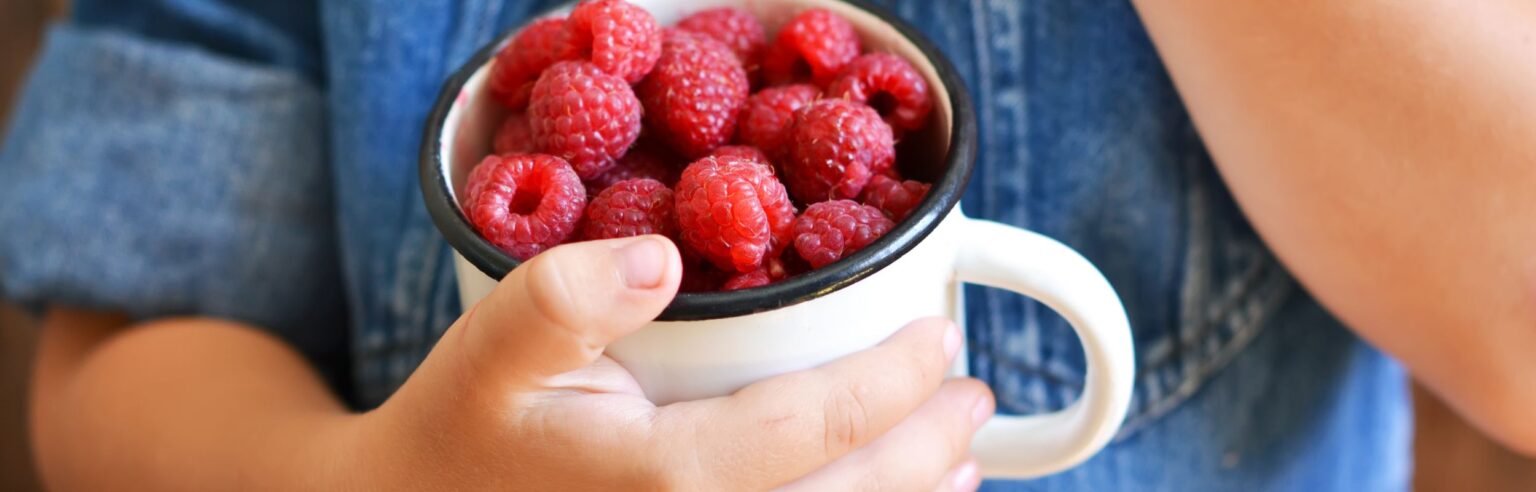 Raspberries 101 - Washington Red Raspberries